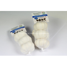 Fresh Garlic White/Chinese Normal White Garlic